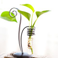 Literary Iron Hydroponics Plant Vase and Water culture glass vase and crafts For Desktop Decoration